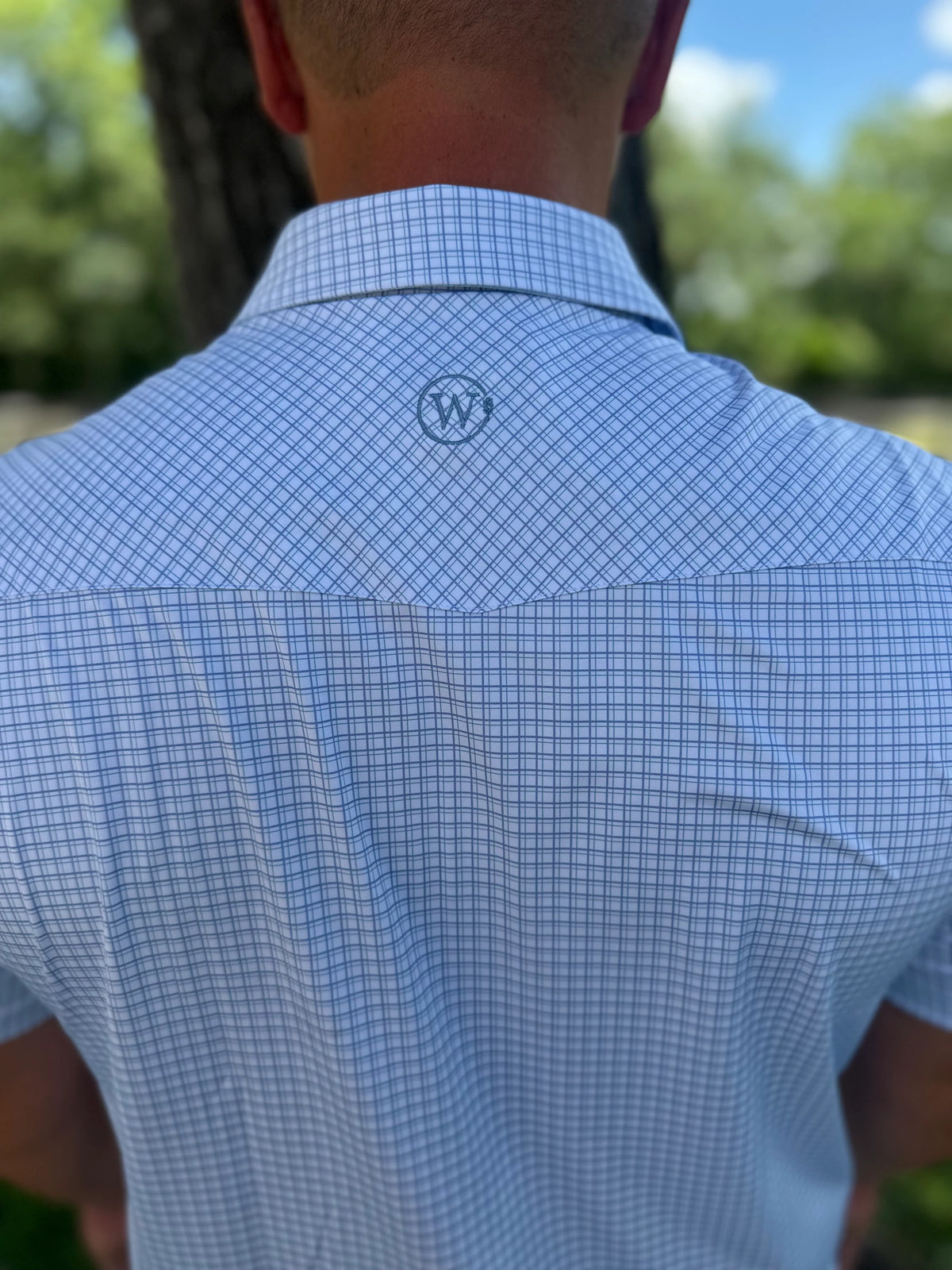 Jerry - Button Down