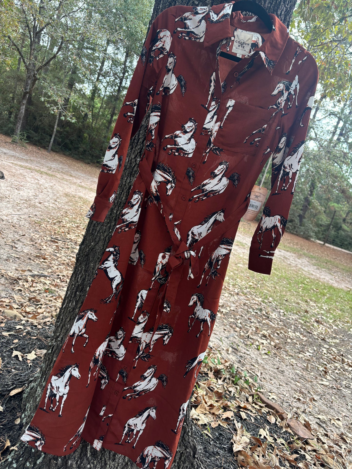 Rust Horse Dress