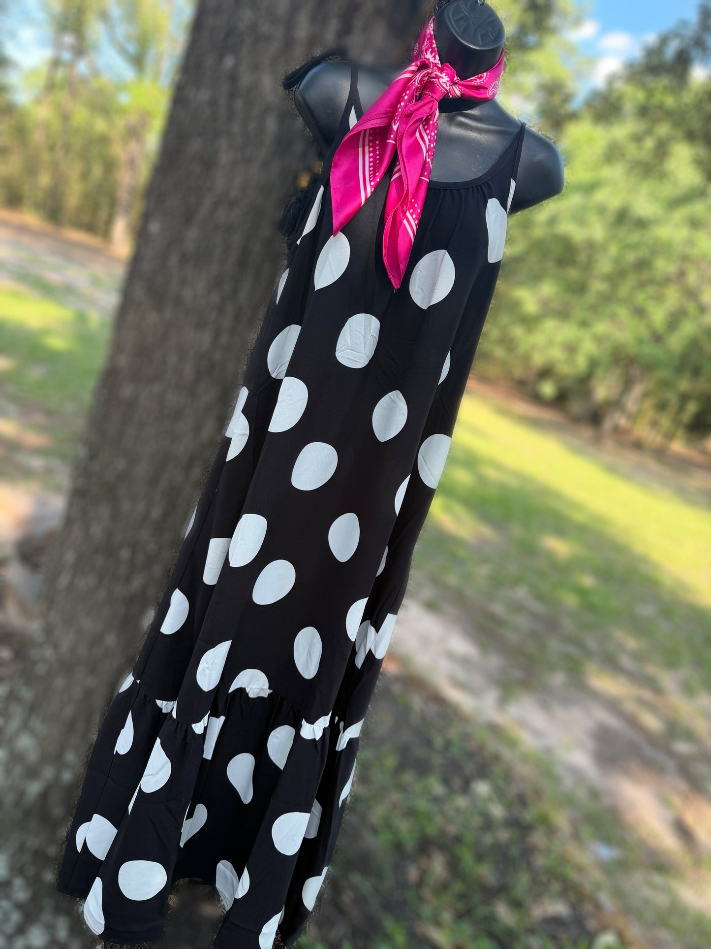 Polka Dot Maxi Dress